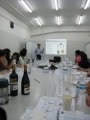Private WSET level 1 course at a wine trading company