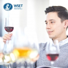 Wine Education -wine tasting session 1‎